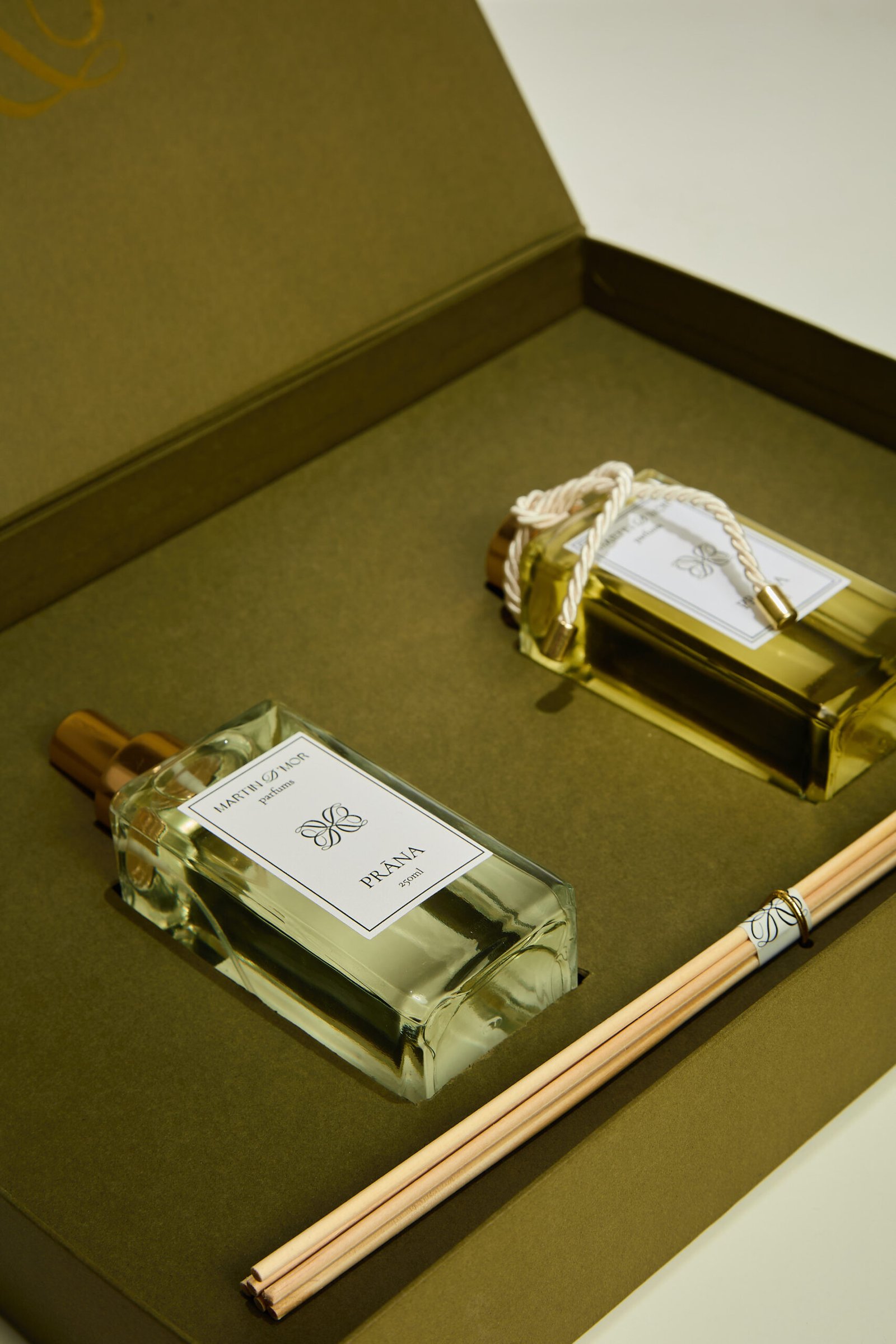 Sessao Martin d`mor4343