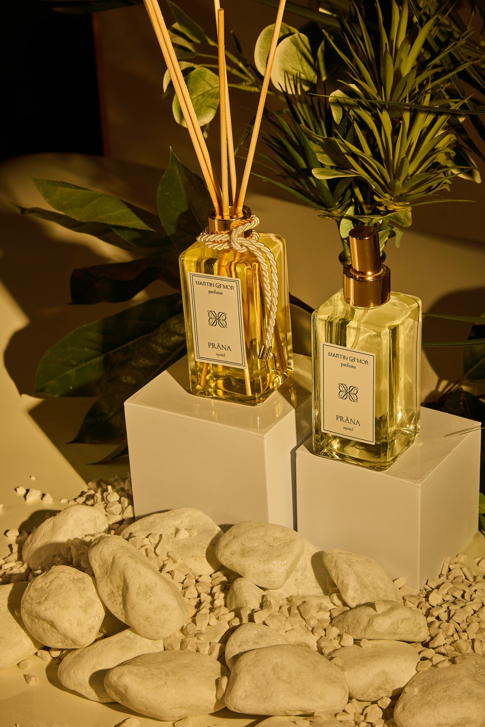 Sessao Martin d`mor4566