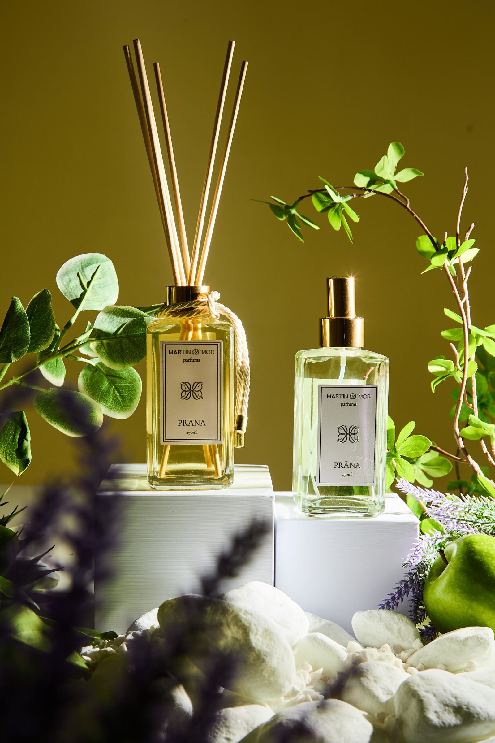 Sessao Martin d`mor4601