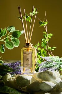 Sessao Martin d`mor4636