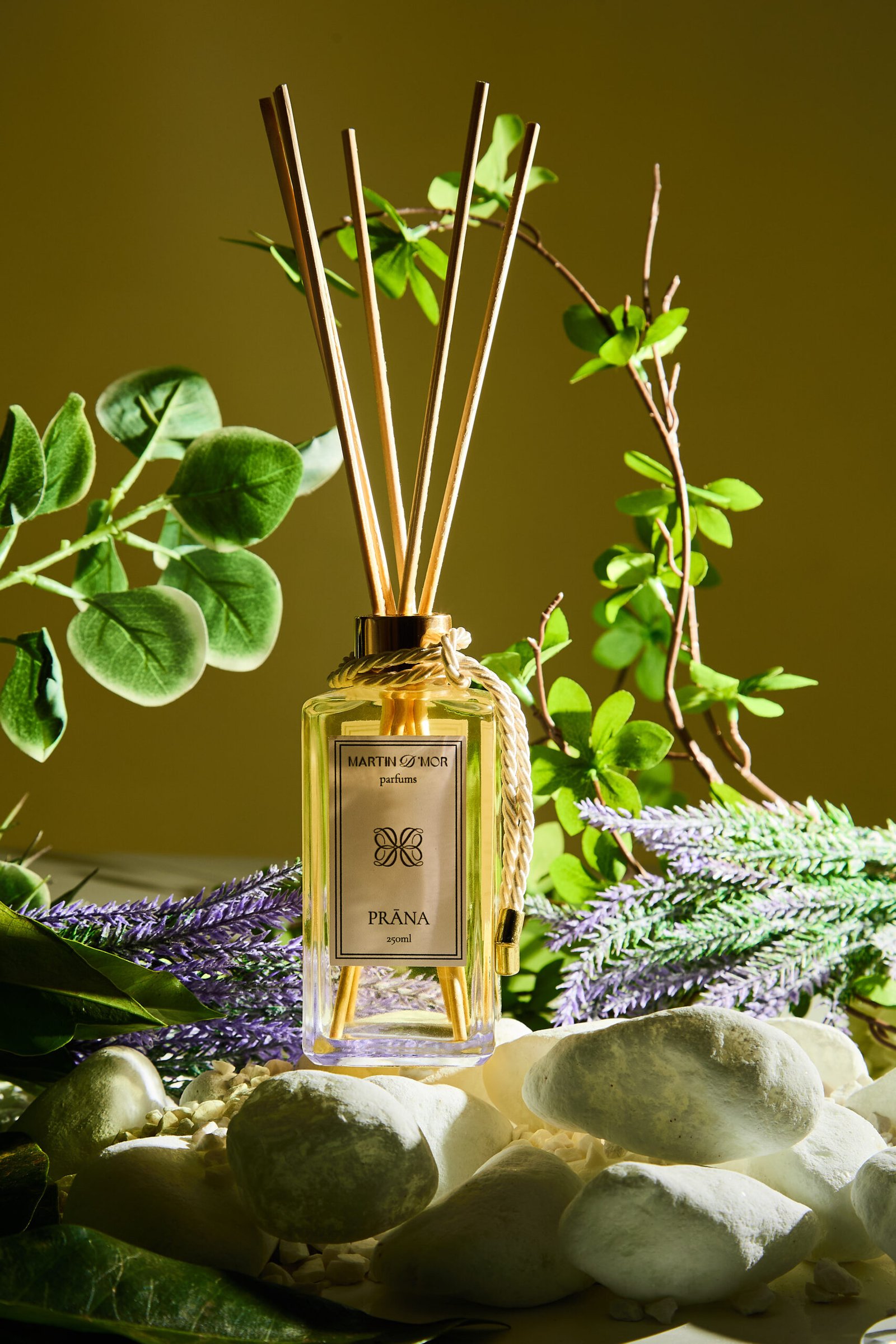 Sessao Martin d`mor4636