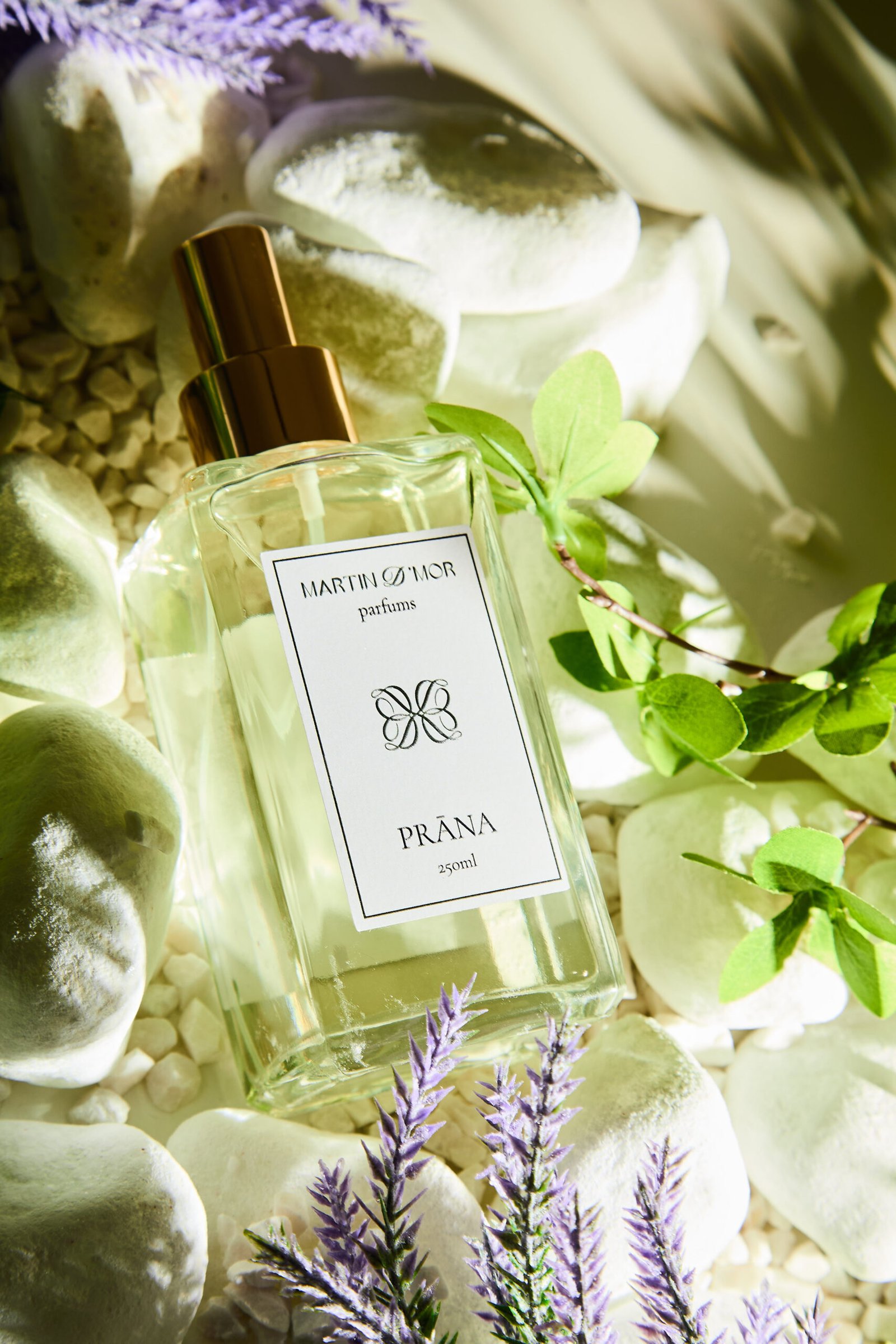 Sessao Martin d`mor4694