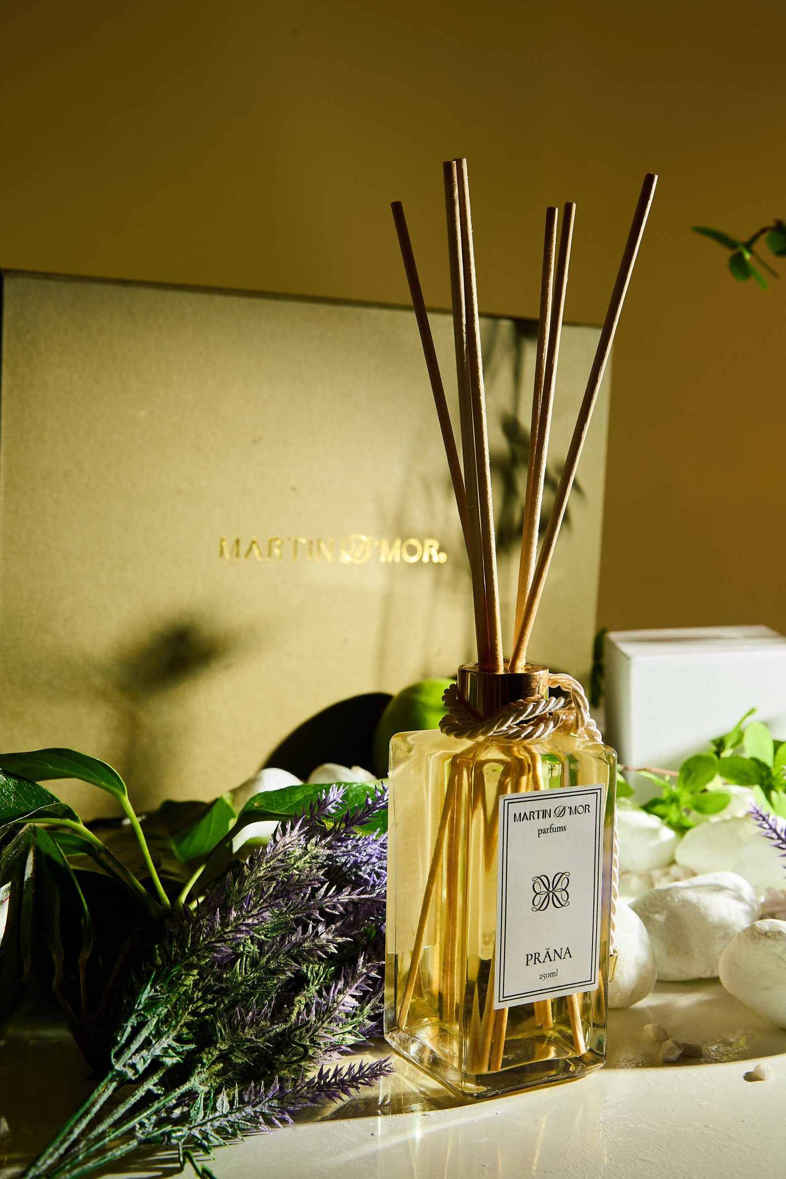 Sessao Martin d`mor4715