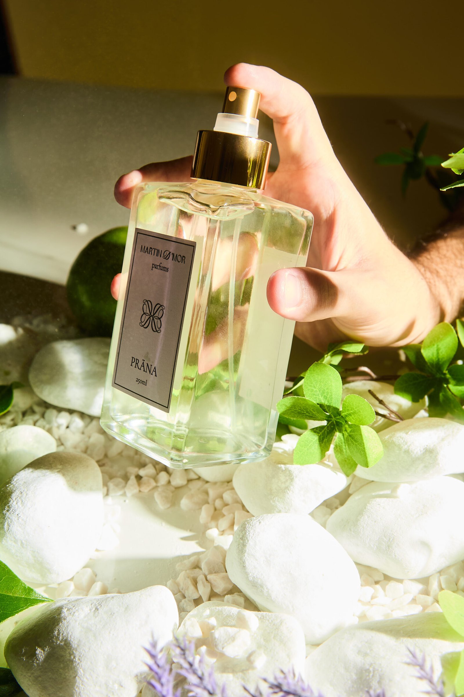 Sessao Martin d`mor4727