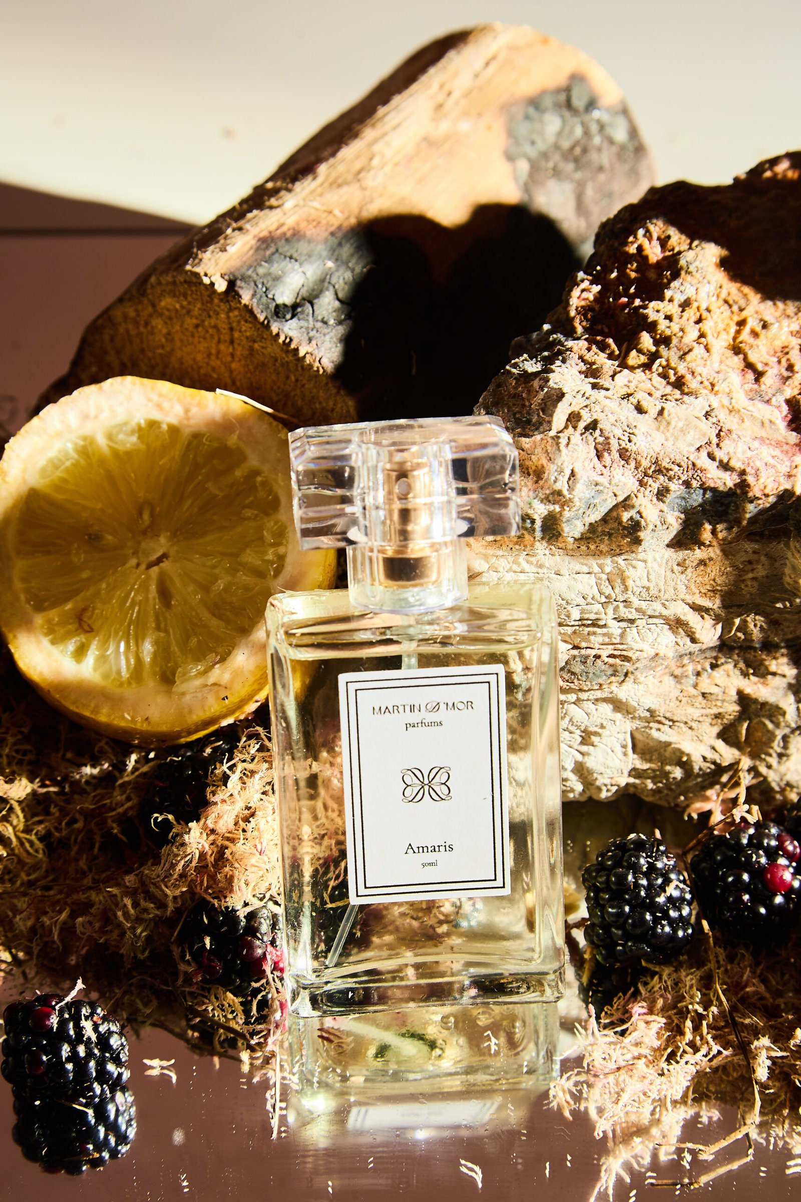 Sessao Martin d`mor4833