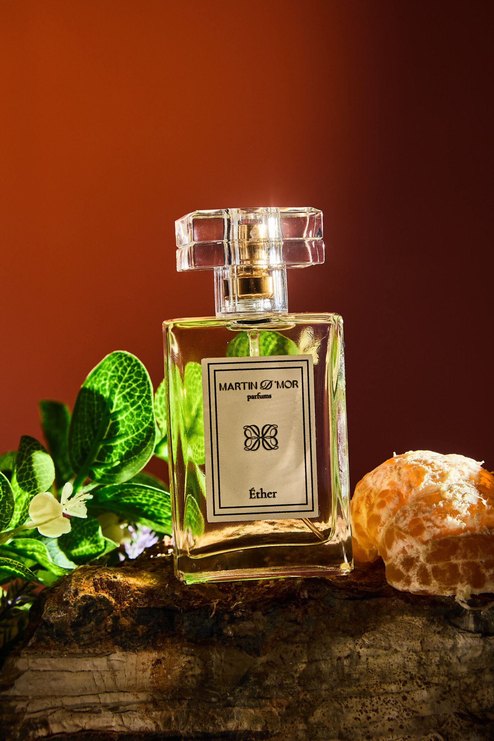 Sessao Martin d`mor4944