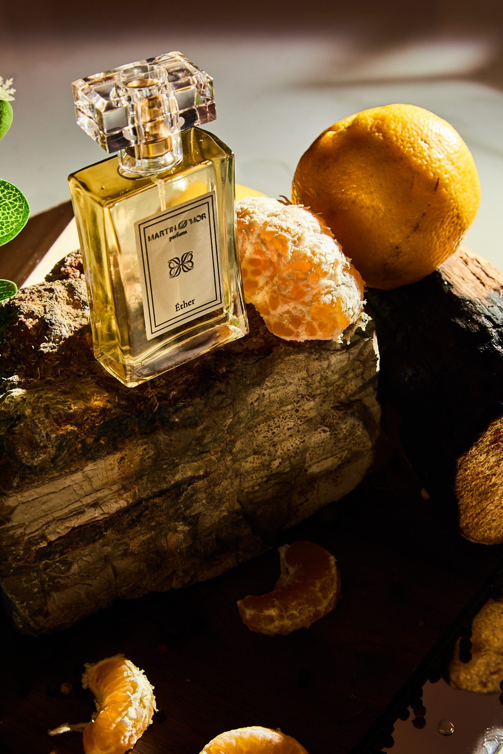 Sessao Martin d`mor4949