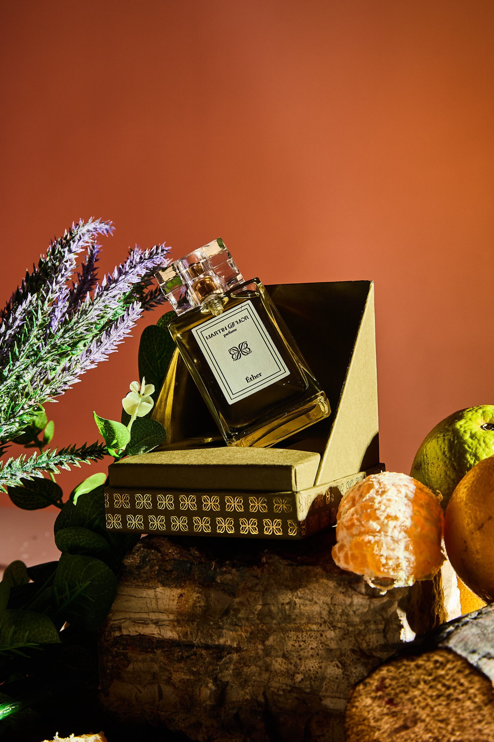 Sessao Martin d`mor4958